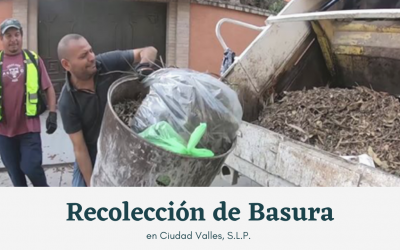 Recolección de basura