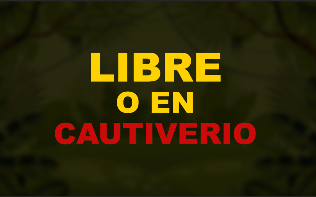 LIBRE O EN CAUTIVERIO ?