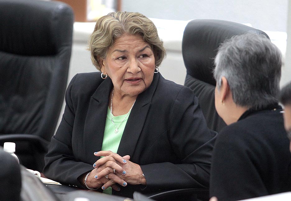 IMPULSAN QUE LOS ADULTOS MAYORES INDÍGENAS TENGAN PRESENCIA EN EL CONSEJO INTERINSTITUCIONAL GERONTOLÓGICO.