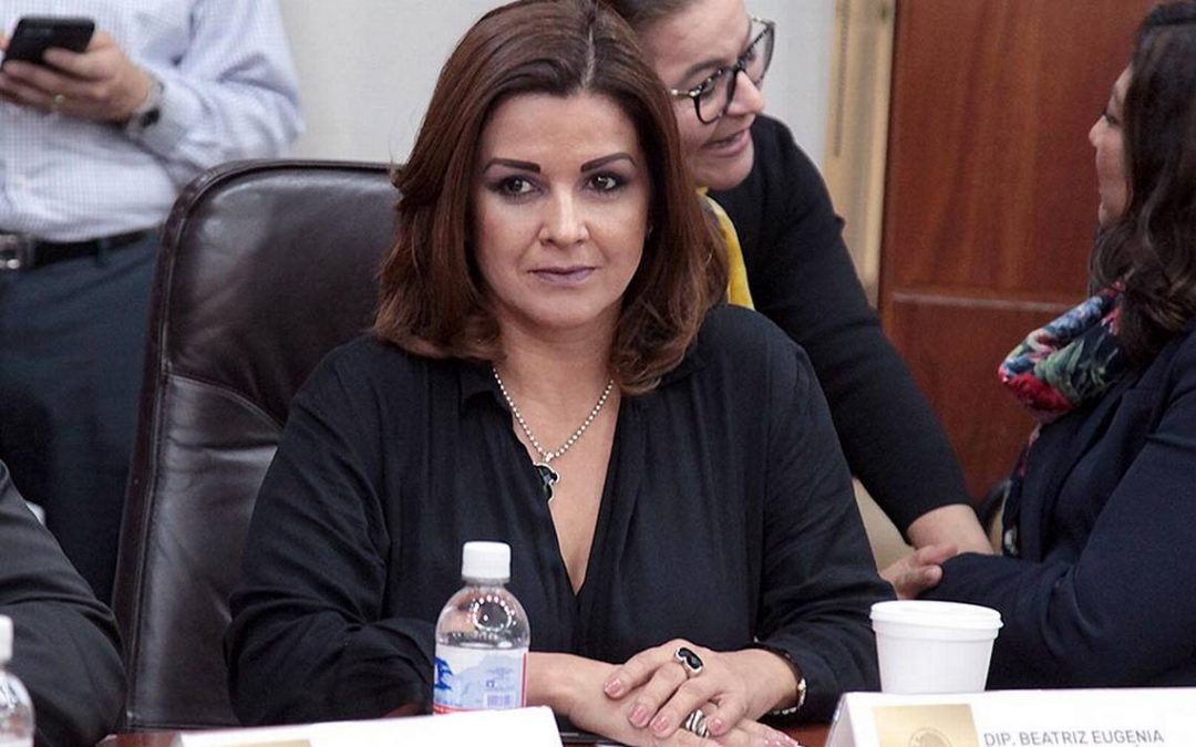 NO SE PUEDE DECIR QUE LAS COSAS ESTÉN BIEN EN MATERIA DE SEGURIDAD, CUANDO EXISTEN ONCE FEMINICIDIOS AL DÍA EN TODA LA REPÚBLICA MEXICANA