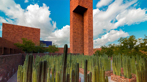 EL MUSEO LABERINTO DE LAS CIENCIAS Y LAS ARTES E IPICYT DESARROLLAN CÁPSULAS INFORMATIVAS ANTE CONTINGENCIA SANITARIA.