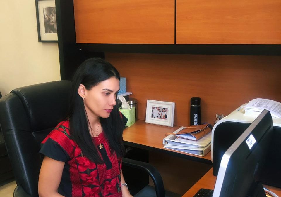 TIPOS Y MODALIDADES DE LA VIOLENCIA, TEMAS DE LA SEGUNDA SESIÓN VIRTUAL QUE OFRECIÓ EL IMES.