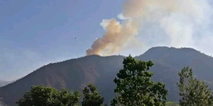 INCENDIO FORESTAL EN SANTA MARÍA DEL RÍO.