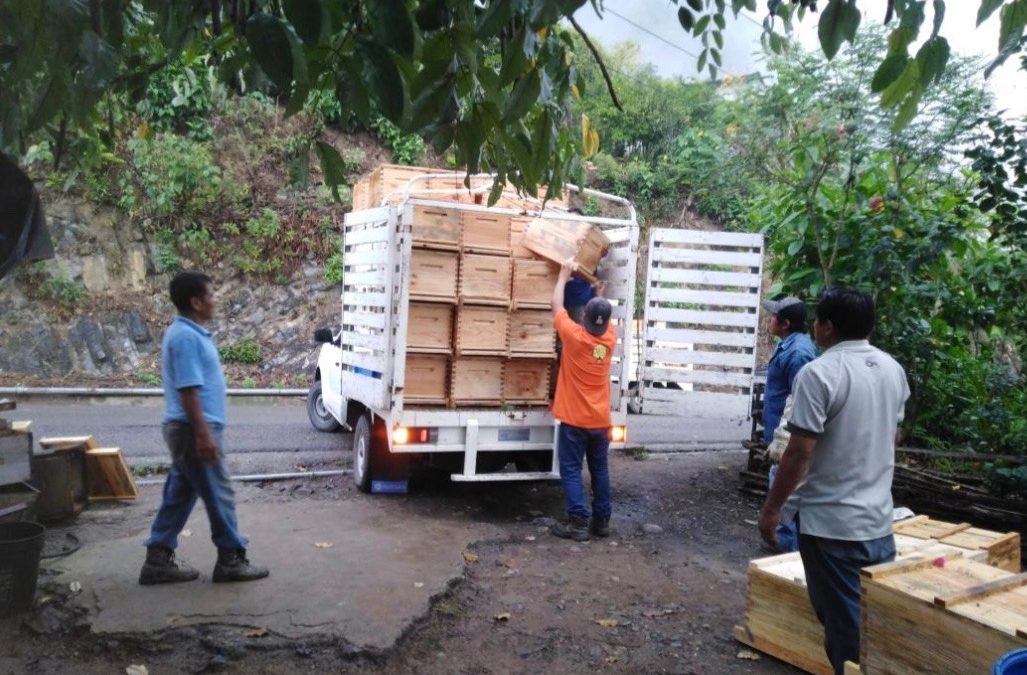 SEDARH ENTREGA 1.6 MDP PARA APICULTORES DE TAMAZUNCHALE.
