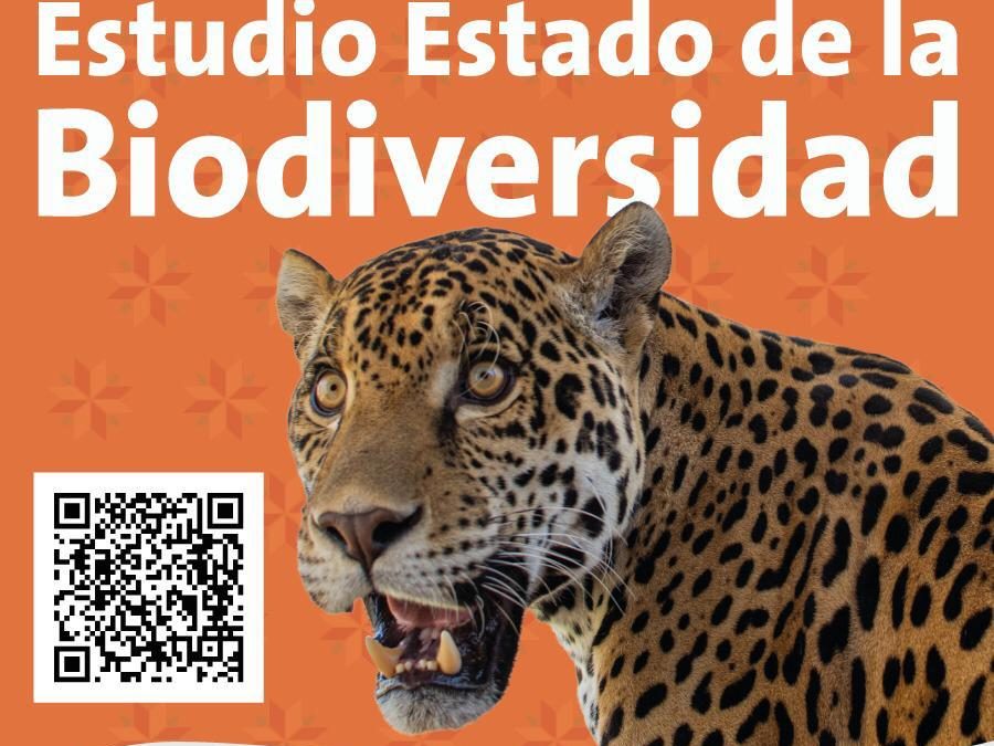 SLP ES EL QUINTO LUGAR NACIONAL EN DIVERSIDAD BIOLÓGICA.