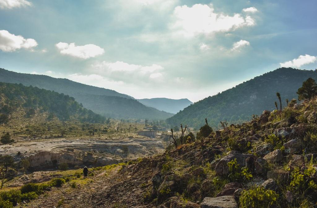 EL ANP RESERVA ESTATAL SIERRA DE SAN MIGUELITO CUENTA CON SU PLAN DE MANEJO.