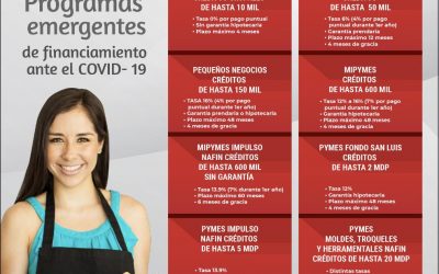 CON 8 PROGRAMAS DE CRÉDITOS EMERGENTES GOBIERNO DEL ESTADO APOYA A MIPYMES POTOSINAS DURANTE PANDEMIA DE COVID-19: SIFIDE.