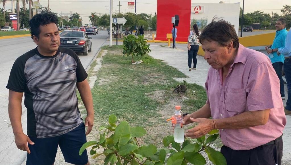 Recorre AEC primera etapa de la Ecovía; destaca avances de la reforestación masiva