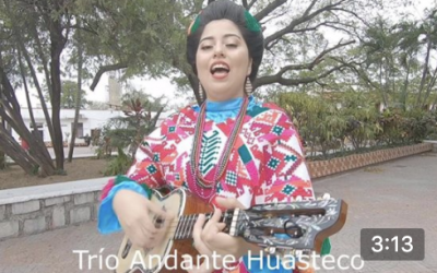 Trio Andante Huasteco