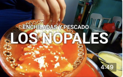 Enchiladas y pescado en Los Nopales