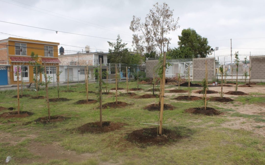 BUENOS RESULTADOS EN EL HUERTO Y EL BOSQUE DEL CENTRO CRECER PARA LA VIDA DE RIVAS GUILLÉN.