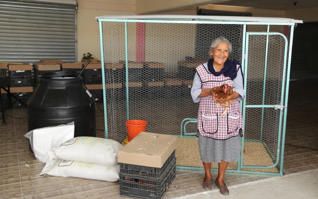 EL 80% DE LAS GRANJAS AVÍCOLAS ENTREGADAS POR DIF ESTATAL HAN BENEFICIADO A MUJERES.