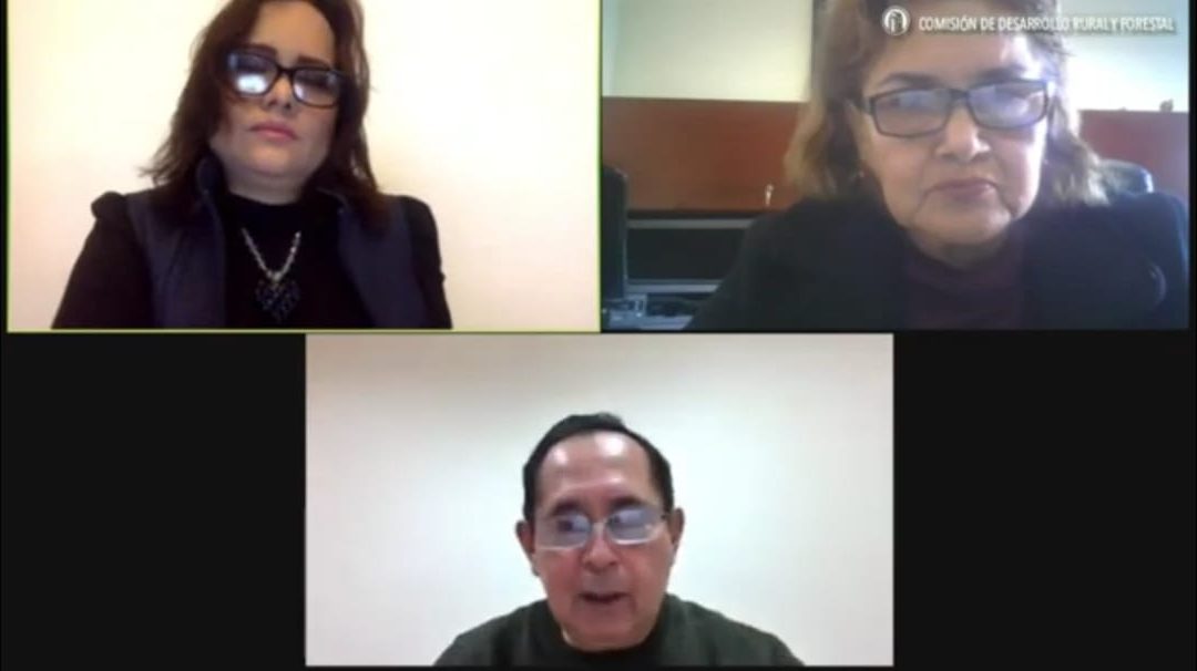 BUSCAN GARANTIZAR LA PROTECCIÓN DE LOS JORNALEROS AGRÍCOLAS, TANTO LOCALES COMO FORÁNEOS: DIP. VIANEY MONTES COLUNGA