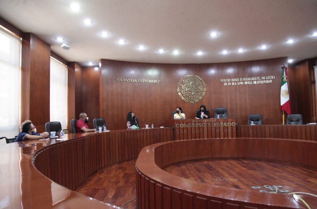 REFORMAS A LA LEY DE ACCESO A LAS MUJERES A UNA VIDA LIBRE DE VIOLENCIA ATIENDEN PROPUESTAS DE LAS PERSONAS TRANSGÉNERO