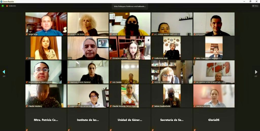 SESIONÓ DE MANERA VIRTUAL EL SISTEMA ESTATAL PARA LA PREVENCIÓN, ATENCIÓN, SANCIÓN Y ERRADICACIÓN DE LA VIOLENCIA CONTRA LAS MUJERES