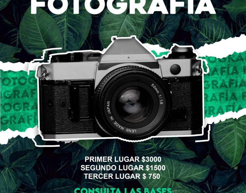 EL INSTITUTO POTOSINO DE LA JUVENTUD INVITA A PARTICIPAR EN SU 4º. CONCURSO DE FOTOGRAFÍA