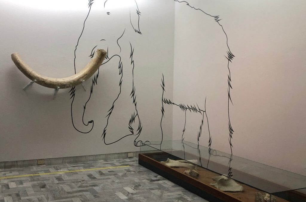 GANA EL MUSEO FRANCISCO COSSÍO CONVOCATORIA COPOCYT