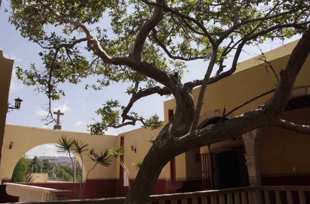 CASA DEL REBOZO EN SANTA MARÍA DEL RÍO: DOS AÑOS DESCUBRIENDO EL UNIVERSO ARTESANAL POTOSINO