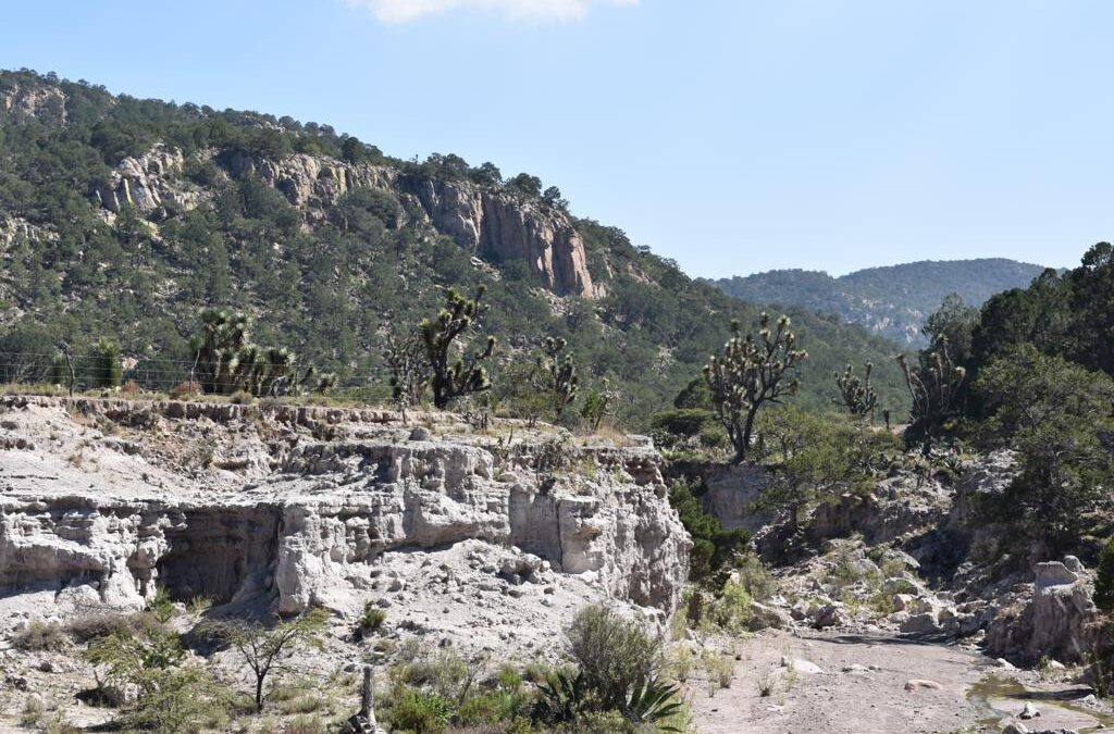 SIERRA DE SAN MIGUELITO SE CONVIERTE EN ÁREA NATURAL PROTEGIDA FEDERAL