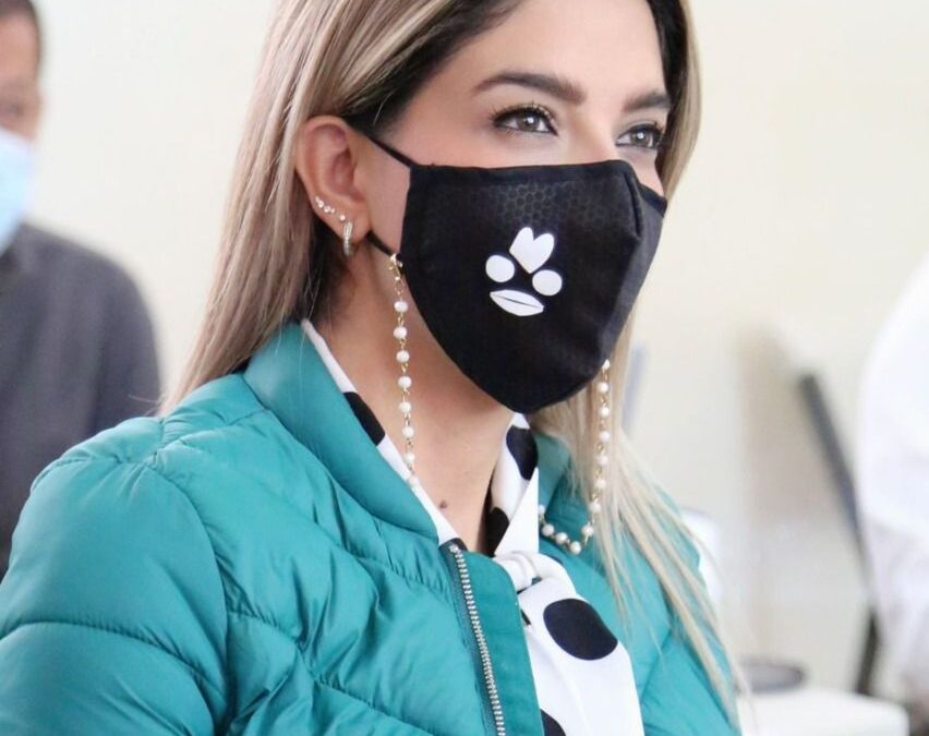 DIF IMPLEMENTA TRANSPORTE ADAPTADO A PERSONAS CON DISCAPACIDAD