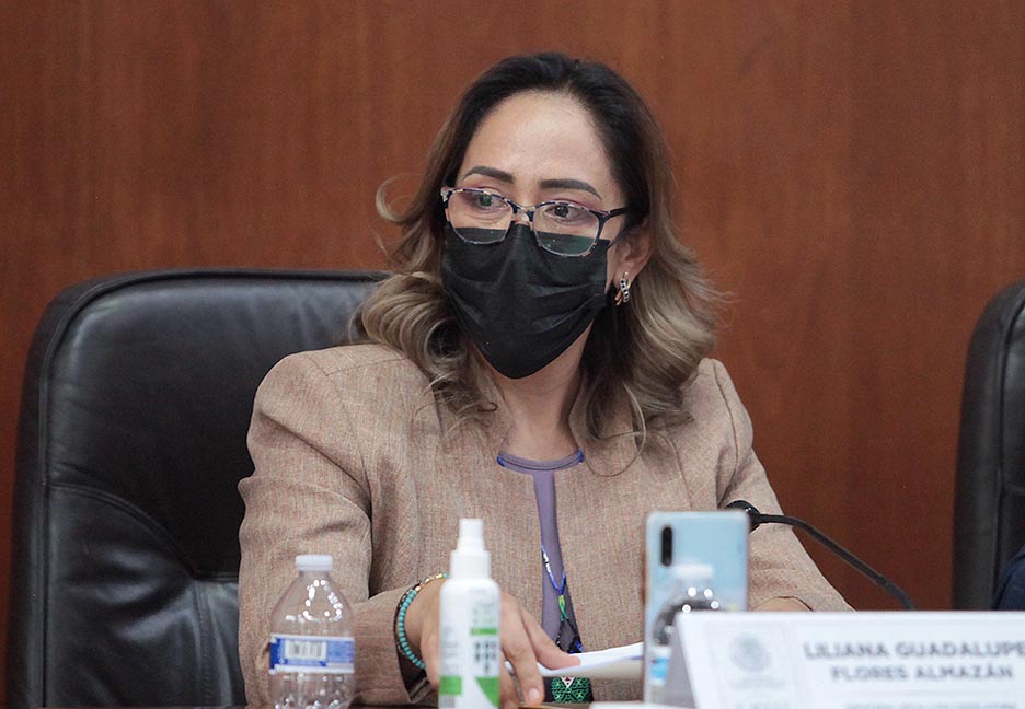 PROPONE LA DIP. LILIANA GUADALUPE QUE LA ACTIVIDAD TURÍSTICA SEA INCLUYENTE Y CON ACCESIBILIDAD PARA BENEFICIAR A LA POBLACIÓN CON ALGUNA DISCAPACIDAD Y ADULTOS MAYORES