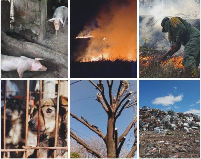 DIRECCIÓN DE ECOLOGÍA PONE A DISPOSICIÓN LÍNEA TELEFÓNICA PARA DENUNCIAS CIUDADANAS