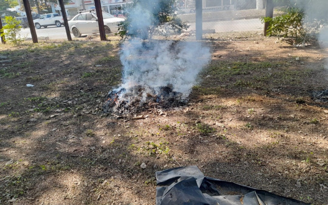 ATENDIÓ ECOLOGÍA 47 REPORTES DE LA CIUDADANÍA EN DICIEMBRE