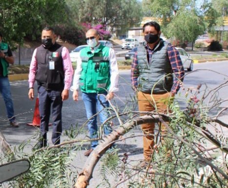 IMPLEMENTAN OPERATIVO DE PODA DE ÁRBOLES EN EL RÍO SANTIAGO