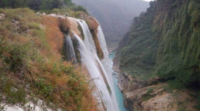 COADYUVA GOBIERNO A DESMONTAR REPRESAS ILEGALES EN “RÍO GALLINAS”
