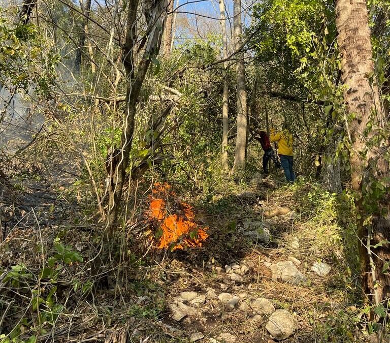 GOBIERNO COMBATE INCENDIOS FORESTALES