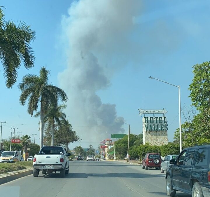 EXIGIREMOS CASTIGO A CAUSANTES DE INCENDIOS: DAVID MEDINA