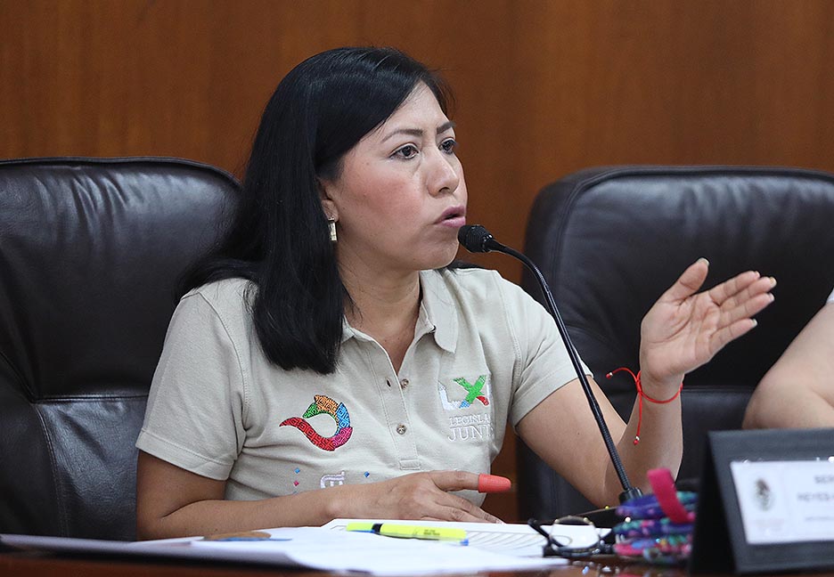 LA LXIII LEGISLATURA SE ENCUENTRAN PREPARADOS PARA LA REALIZACIÓN DE LA CONSULTA A PERSONAS CON DISCAPACIDAD