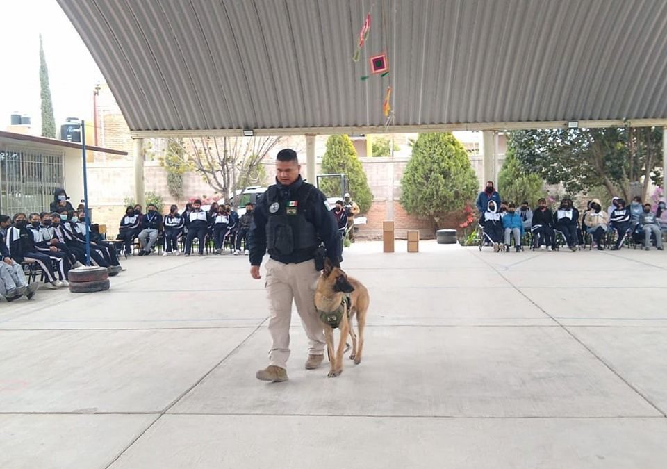 Gobierno del cambio brinda medidas de seguridad a estudiantes: VSE