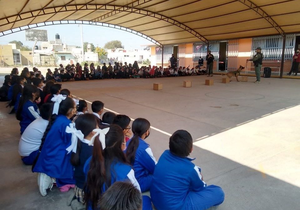 CON CURSOS Y TALLERES, GOBIERNO DEL CAMBIO DIFUNDE ENTRE ESTUDIANTES, MEDIDAS DE PREVENCIÓN