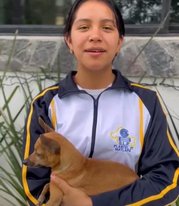 ALUMNOS Y ALUMNAS DEL COLEGIO DE BACHILLERES SE PRONUNCIAN EN CONTRA DEL MALTRATO ANIMAL