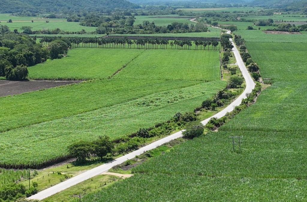 CARRETERA VALLES-EL NARANJO DETONARÁ COMO NUNCA EL CRECIMIENTO Y DESARROLLO ECONÓMICO LOCAL