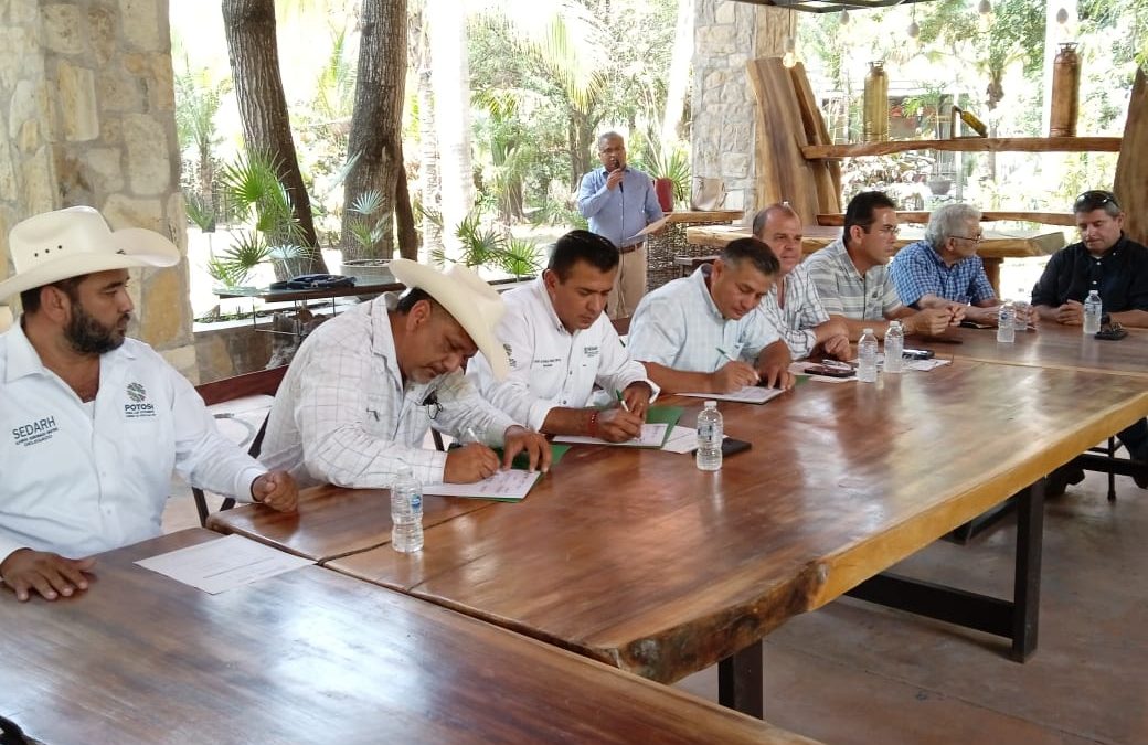IMPULSA GOBIERNO DEL CAMBIO VIVERO DE ÁRBOLES FRUTALES Y MADERABLES PARA REFORESTACIÓN.