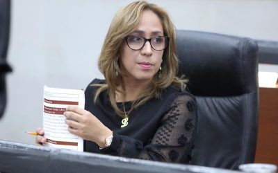 EL CONGRESO DEL ESTADO CUMPLIRÁ CON LAS CONSULTAS PÚBLICAS PARA PERSONAS CON DISCAPACIDAD: DIP. LILIANA FLORES ALMAZÁN