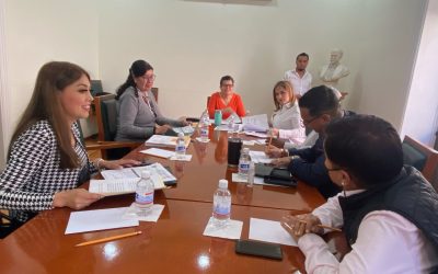 EN COMISIONES APRUEBAN INCORPORAR EN LA VERSIÓN DE AUTOMÓVILES DE ALQUILER PARA TRASLADAR A PERSONAS CON DISCAPACIDAD A VEHÍCULOS DENOMINADOS HATCHBACK