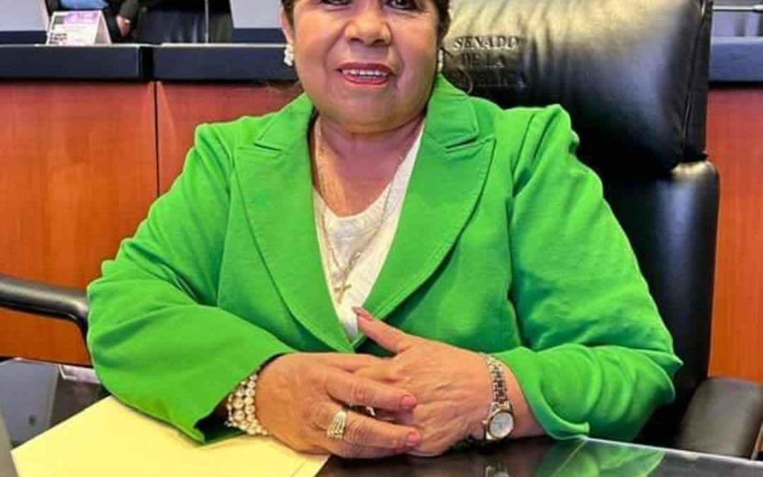 POR COMPLICIDAD DEL PAN EL CRIMEN FLORECE EN MATEHUALA: PVEM