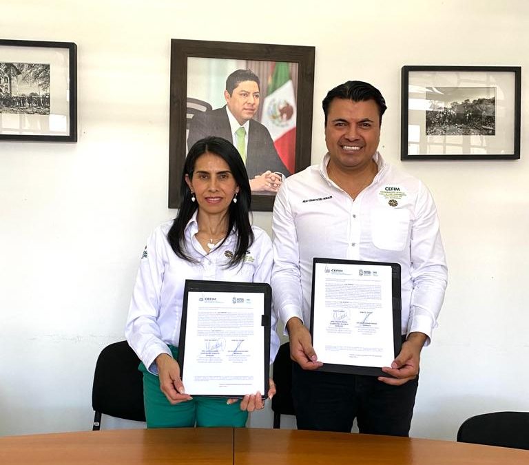 IMES Y CEFIM, SENSIBILIZARÁN A MUNICIPIOS CONTRA LA VIOLENCIA