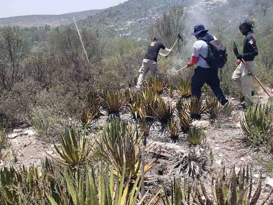 PROTECCIÓN CIVIL ESTATAL MANTIENE APOYO POR INCENDIO FORESTAL EN MATEHUALA