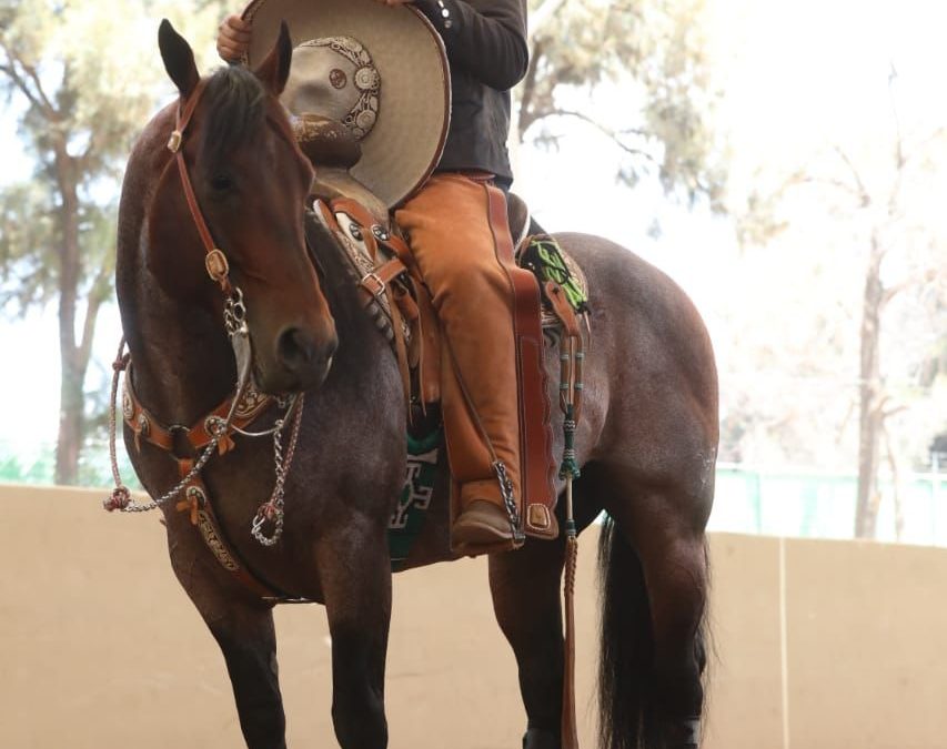 RG2 SE COLOCÓ EN LA FINAL DEL TORNEO CHARRO DE LA FENAPO 2023