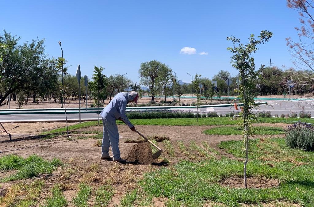 GOBIERNO DEL ESTADO AMPLÍA MEJORAS EN PARQUE “LAS CAMELIAS”