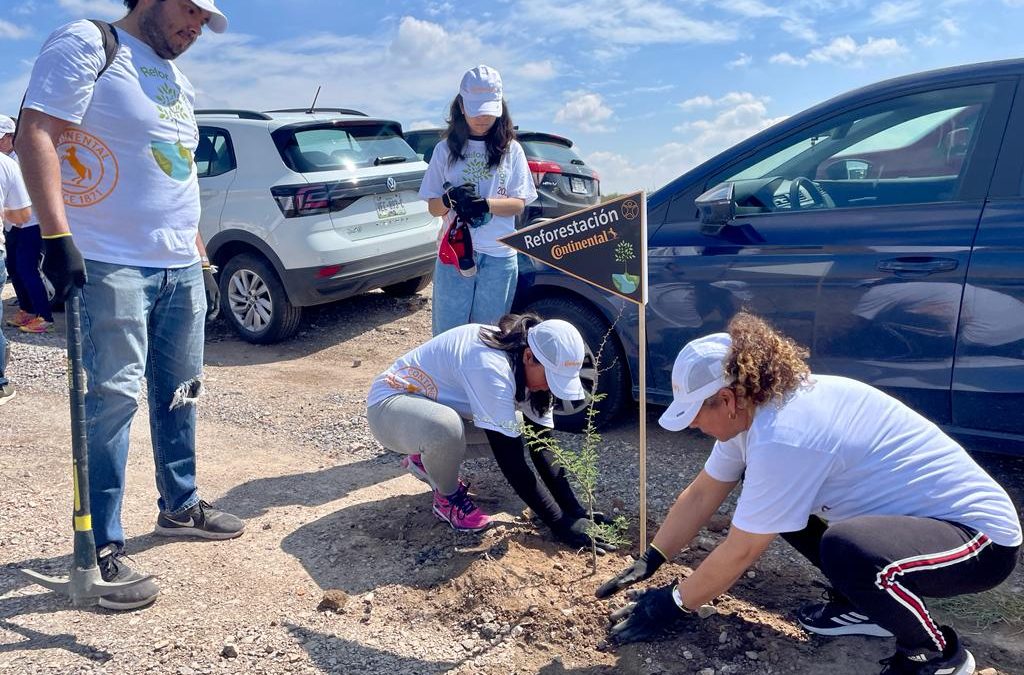 GOBIERNO ESTATAL IMPULSA PROYECTO DE REFORESTACIÓN EN SOLEDAD