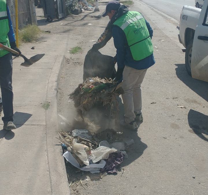 GOBIERNO ESTATAL REALIZA LIMPIEZA EN VÍAS DE ACCESO A LA ZONA METROPOLITANA