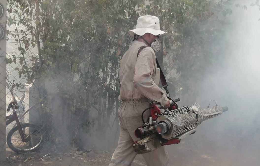 DURANTE 2024, REFORZARÁ GOBIERNO MEDIDAS CONTRA EL DENGUE EN SLP