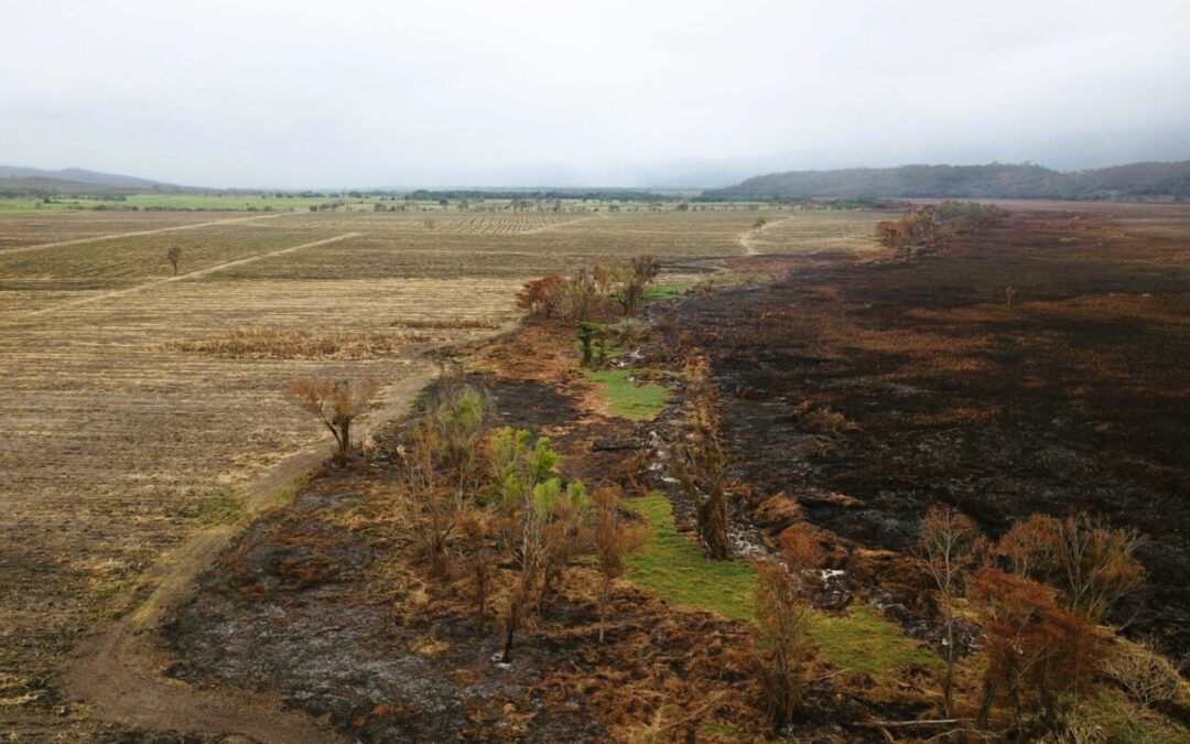 EVALÚAN DAÑOS POR INCENDIO FORESTAL EN CIÉNEGA DE TAMASOPO