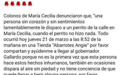 RICARDO GALLARDO INSTRUYE INVESTIGAR CASO DE MALTRATO ANIMAL EN LA CAPITAL