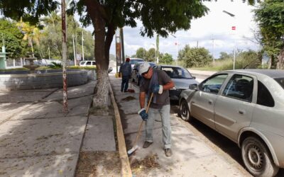 AYUNTAMIENTO DE TAMUÍN REALIZA LIMPIEZA CONSTANTE EN LUGARES PÚBLICOS